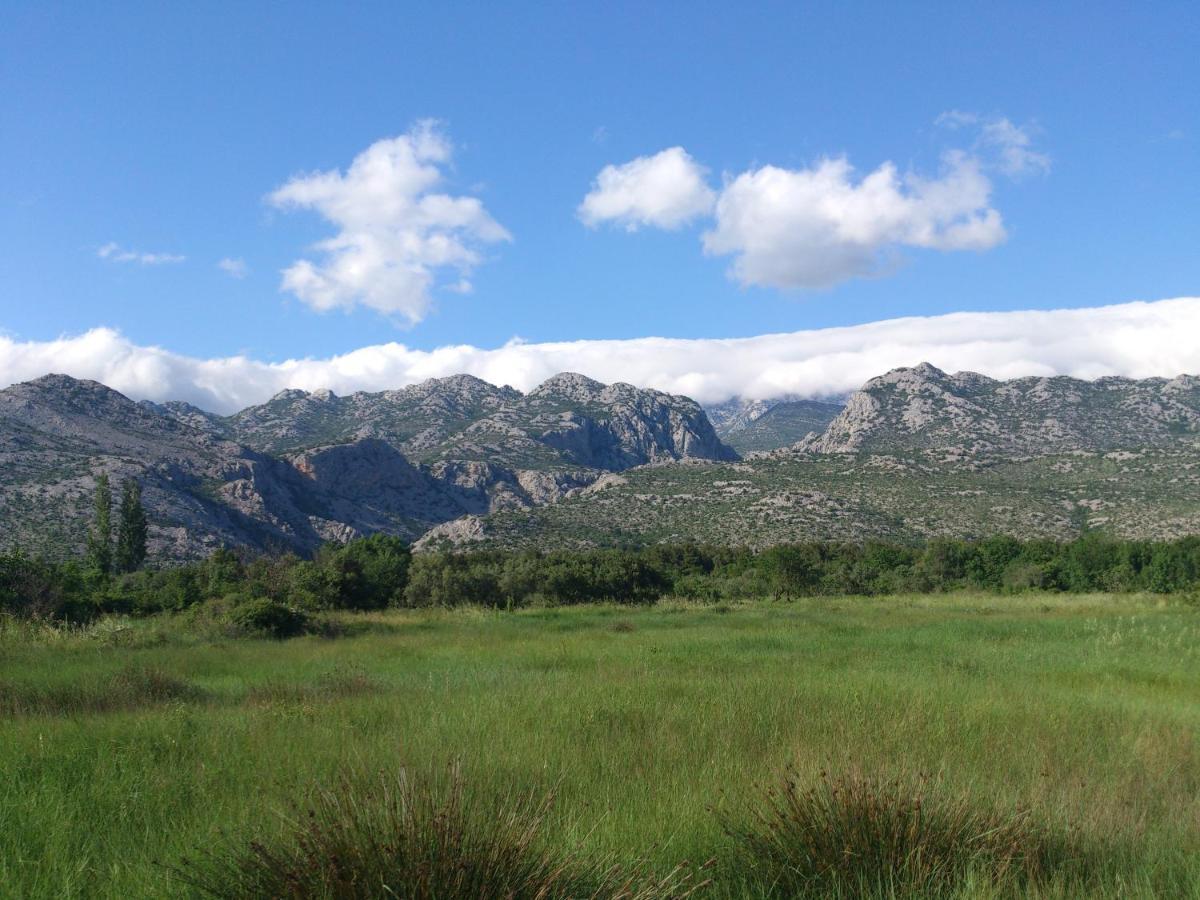 Apartments Amari Starigrad Paklenica Exterior foto